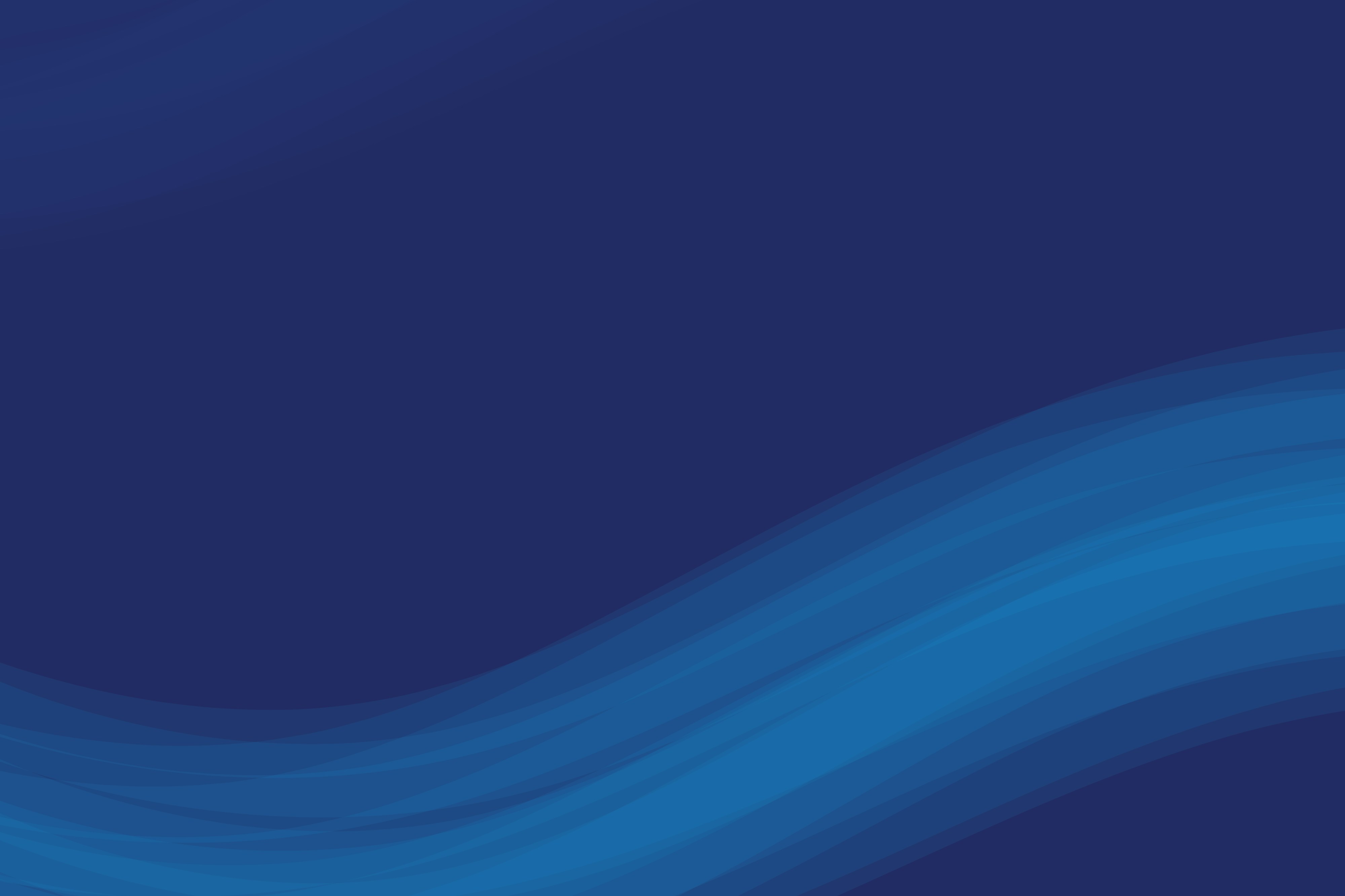 Charity Data Search API